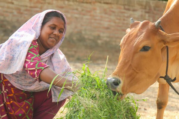 Farmer Producer Organization