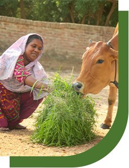 Farmer Producer Img