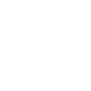 About Icon