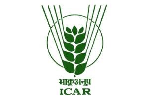Icarlogo