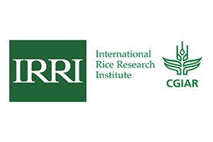 IRRI Logo